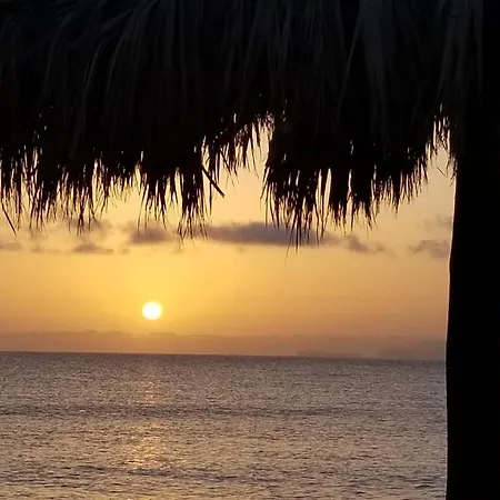 Apartment Vip Paradise *