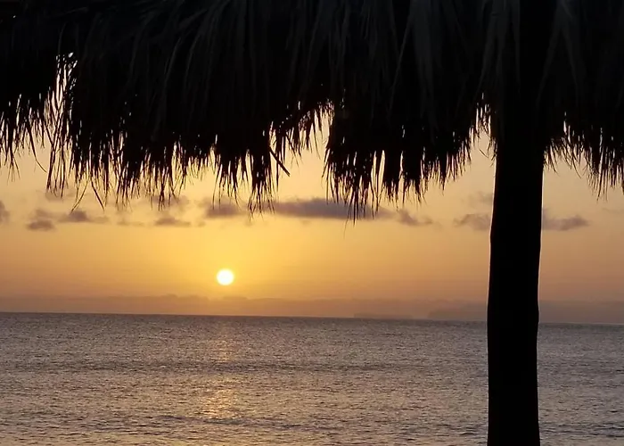 Apartman Vip Paradise *